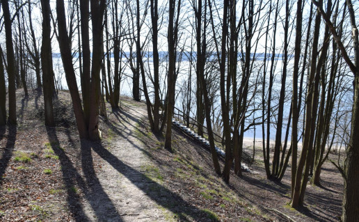 24_Neveroniu regykla (1).jpg